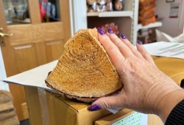 picture of a log