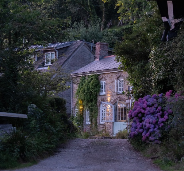 house set in temperate rainforest in cornwall