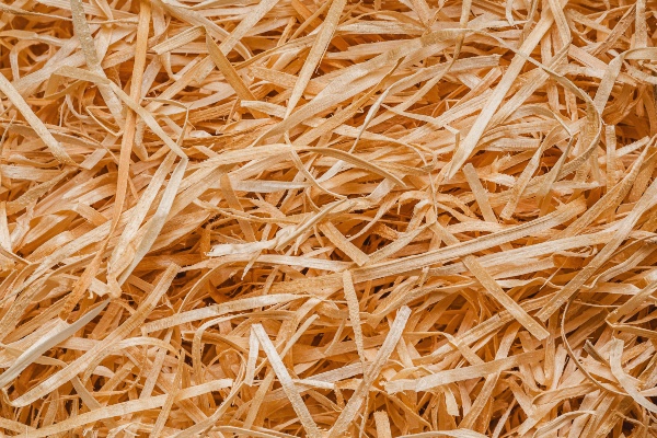 kinding and firelighters